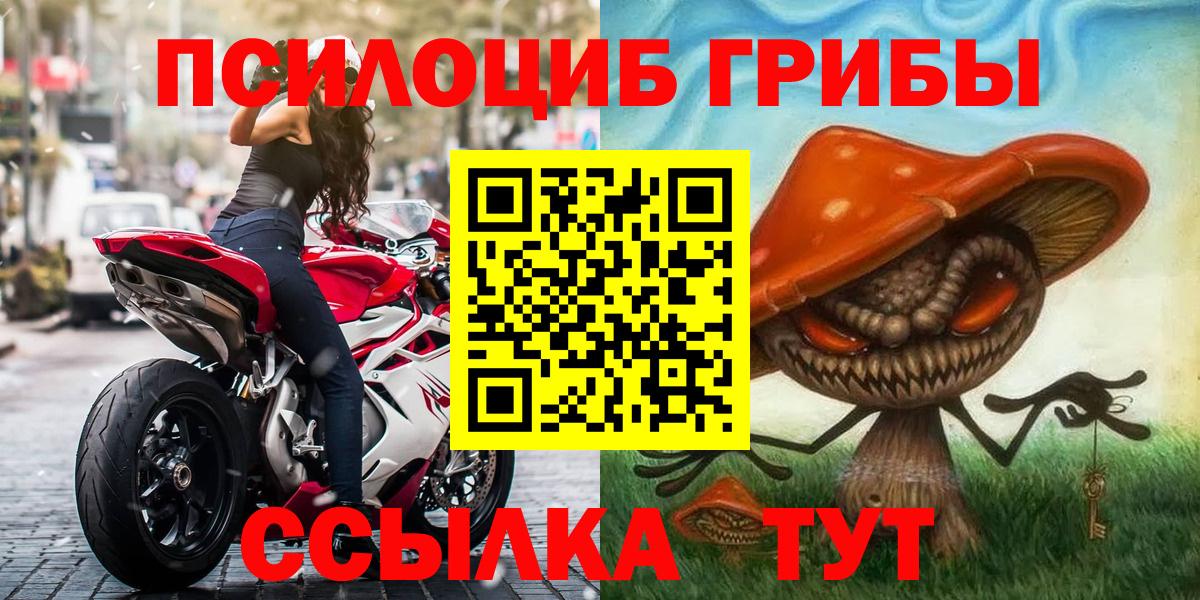 Псилоцибиновые грибы Psilocybine cubensis Лесной