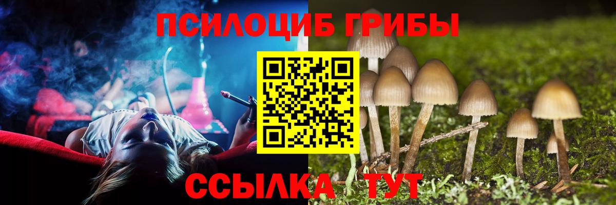 купить наркотик  Галлюциногенные грибы мицелий  Вход с VPN  Лесной  Галлюциногенные грибы прущие грибы 